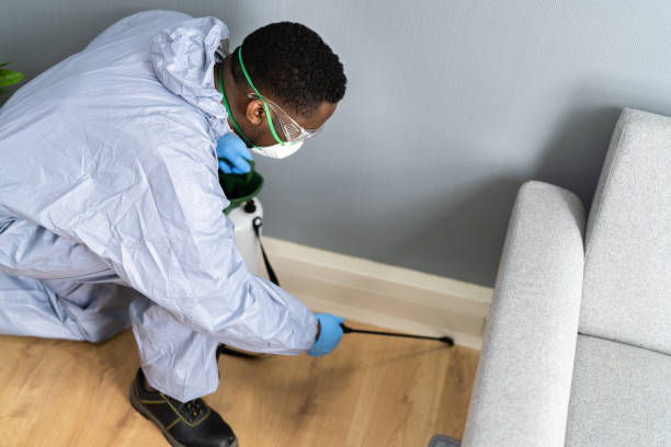 Professional Pest control in Mount Olive, IL